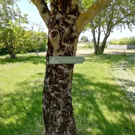 La Planche Princee, D'hotes Ecolo Et Potager Bio, Sauna Les Rosiers-sur-Loire