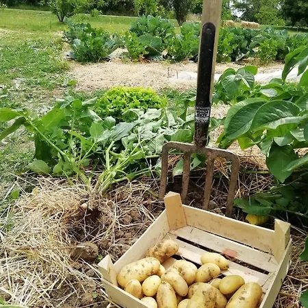 La Planche Princee, D'hotes Ecolo Et Potager Bio, Sauna * Les Rosiers-sur-Loire